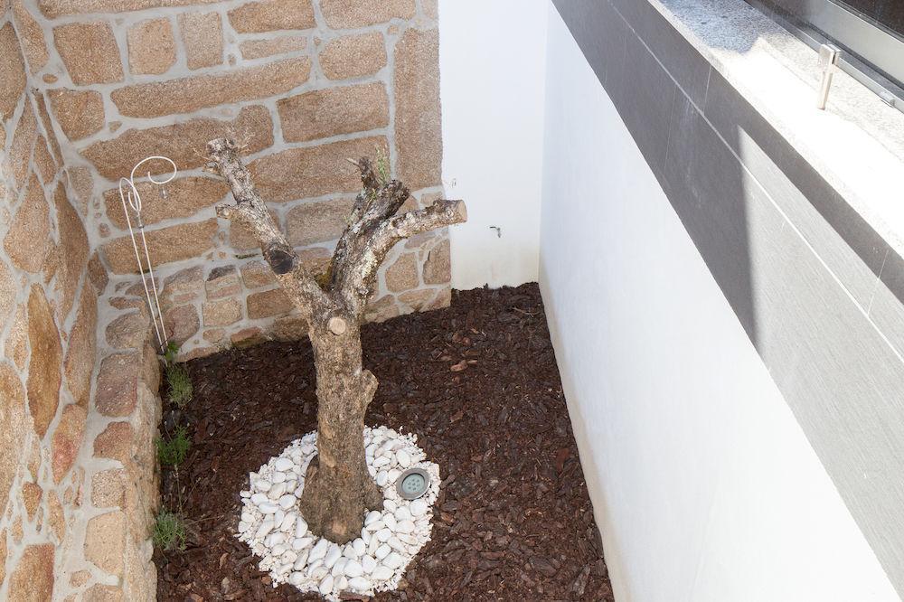 Casas Do Patio Country Houses & Nature Caldas da Felgueira エクステリア 写真