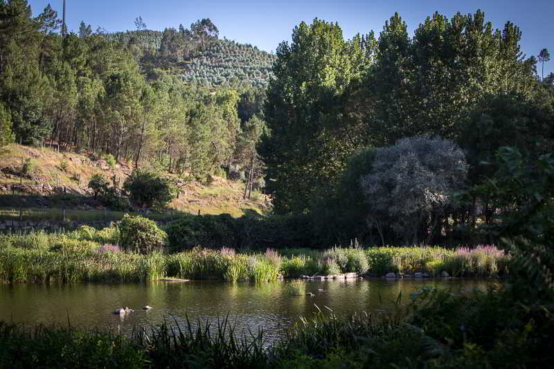 Casas Do Patio Country Houses & Nature Caldas da Felgueira エクステリア 写真